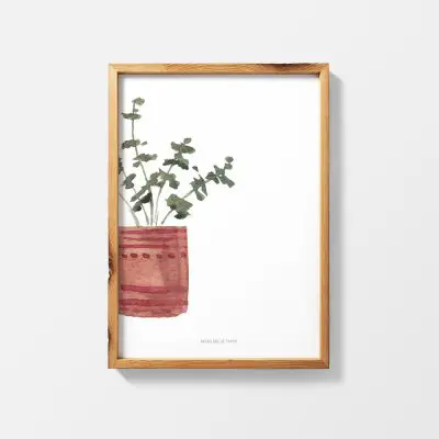 Lámina Plante Rouge - Ilustración Plantas